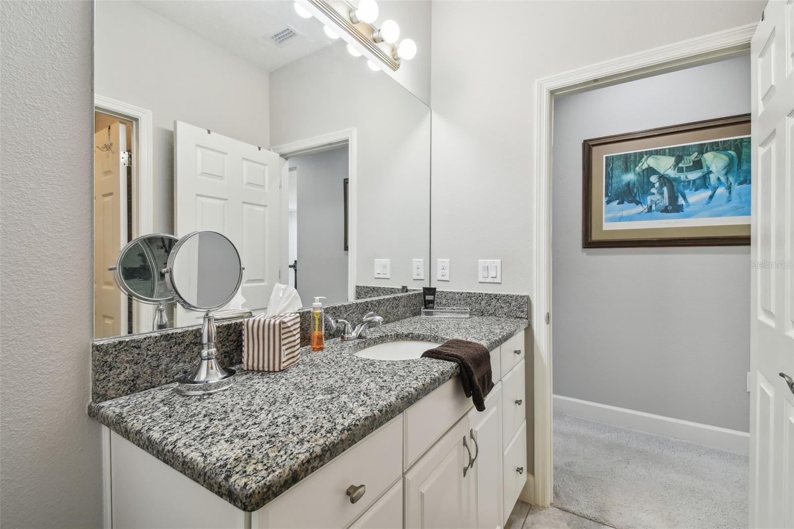 Image 38 of 46 For 8747 Terracina Lake Drive