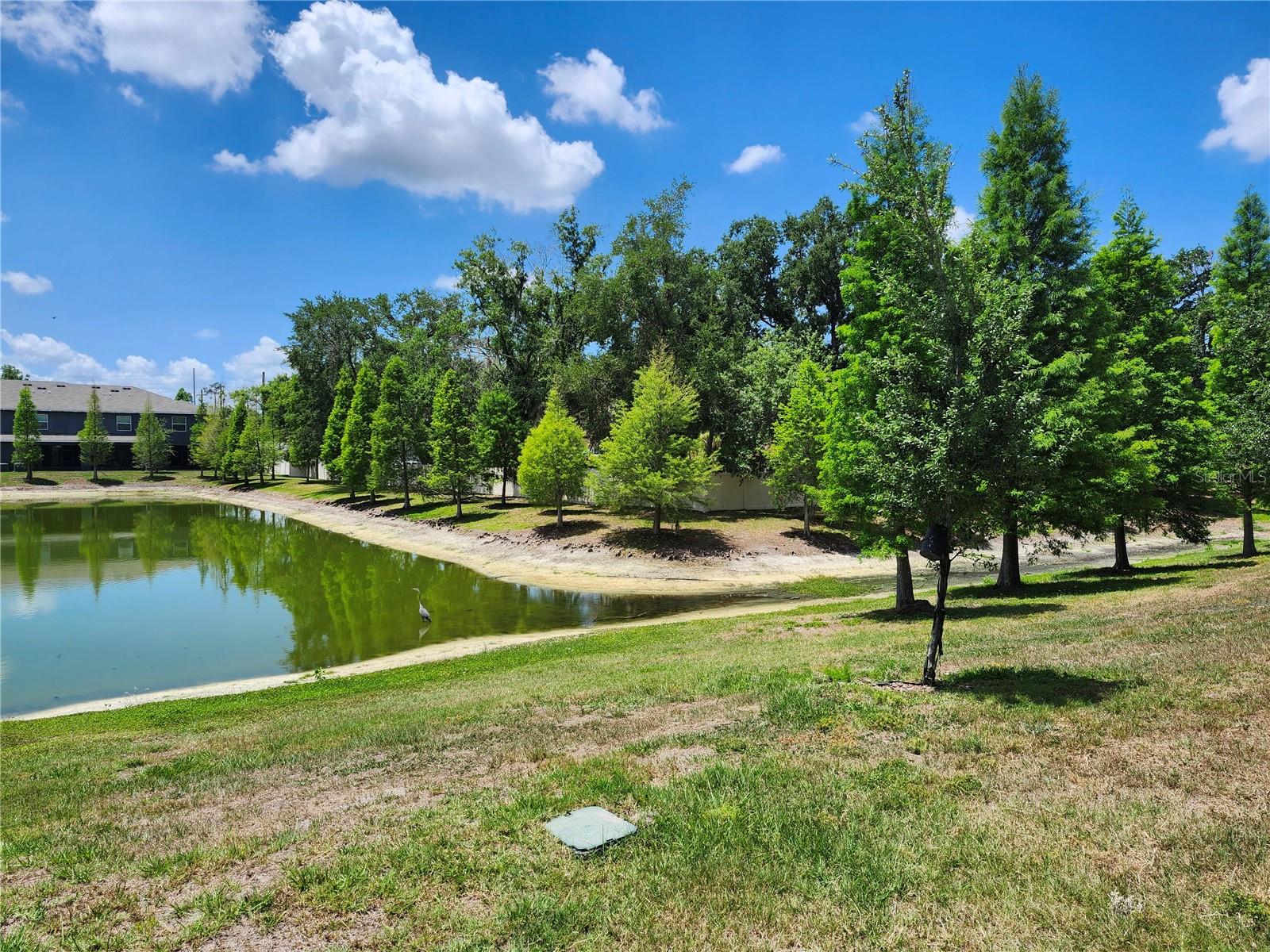 Image 41 of 42 For 3247 Pleasant Willow Court