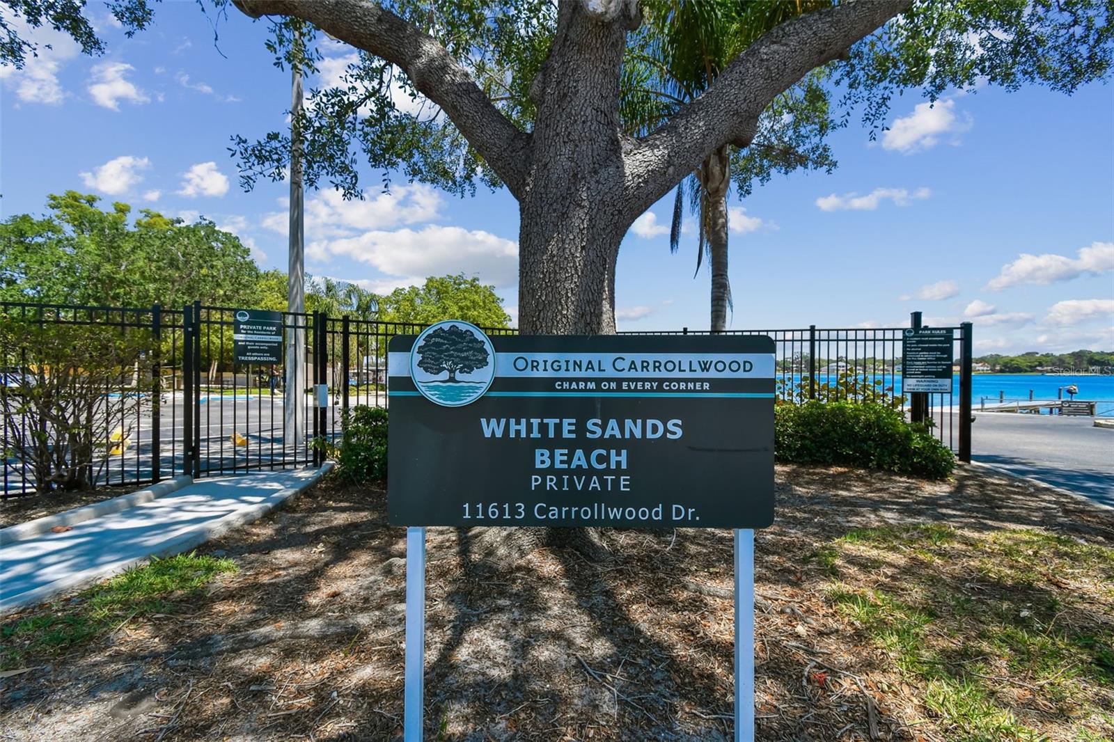 Image 31 of 40 For 10916 Carrollwood Drive