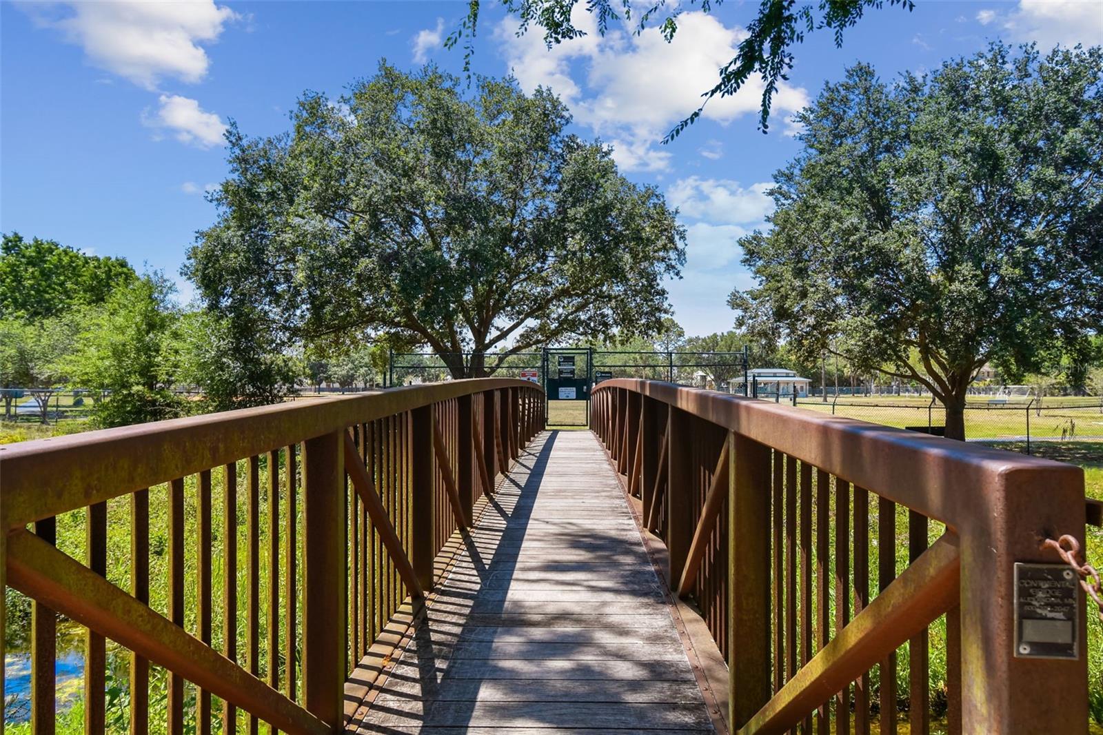 Image 36 of 40 For 10916 Carrollwood Drive