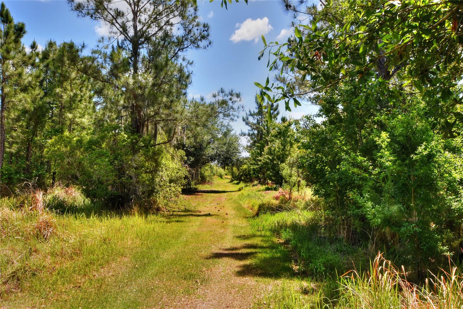 Image 10 of 11 For 0 Lake Buffum Road W