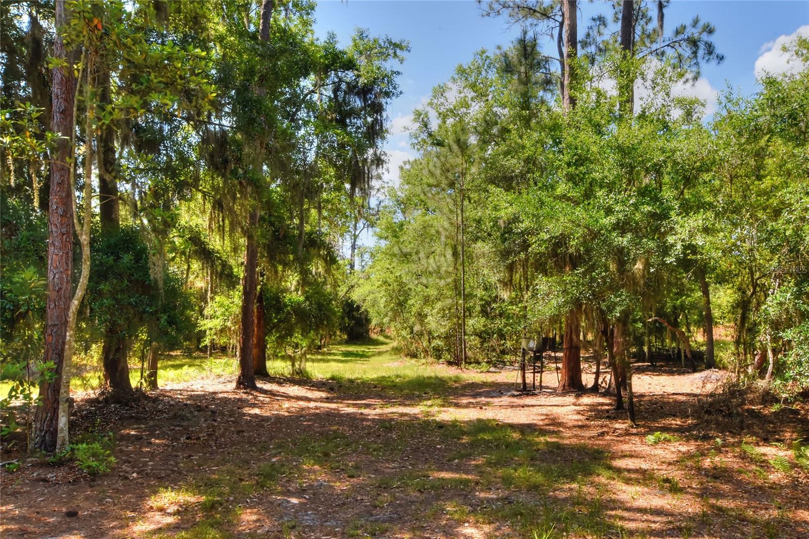 Image 11 of 11 For 0 Lake Buffum Road W