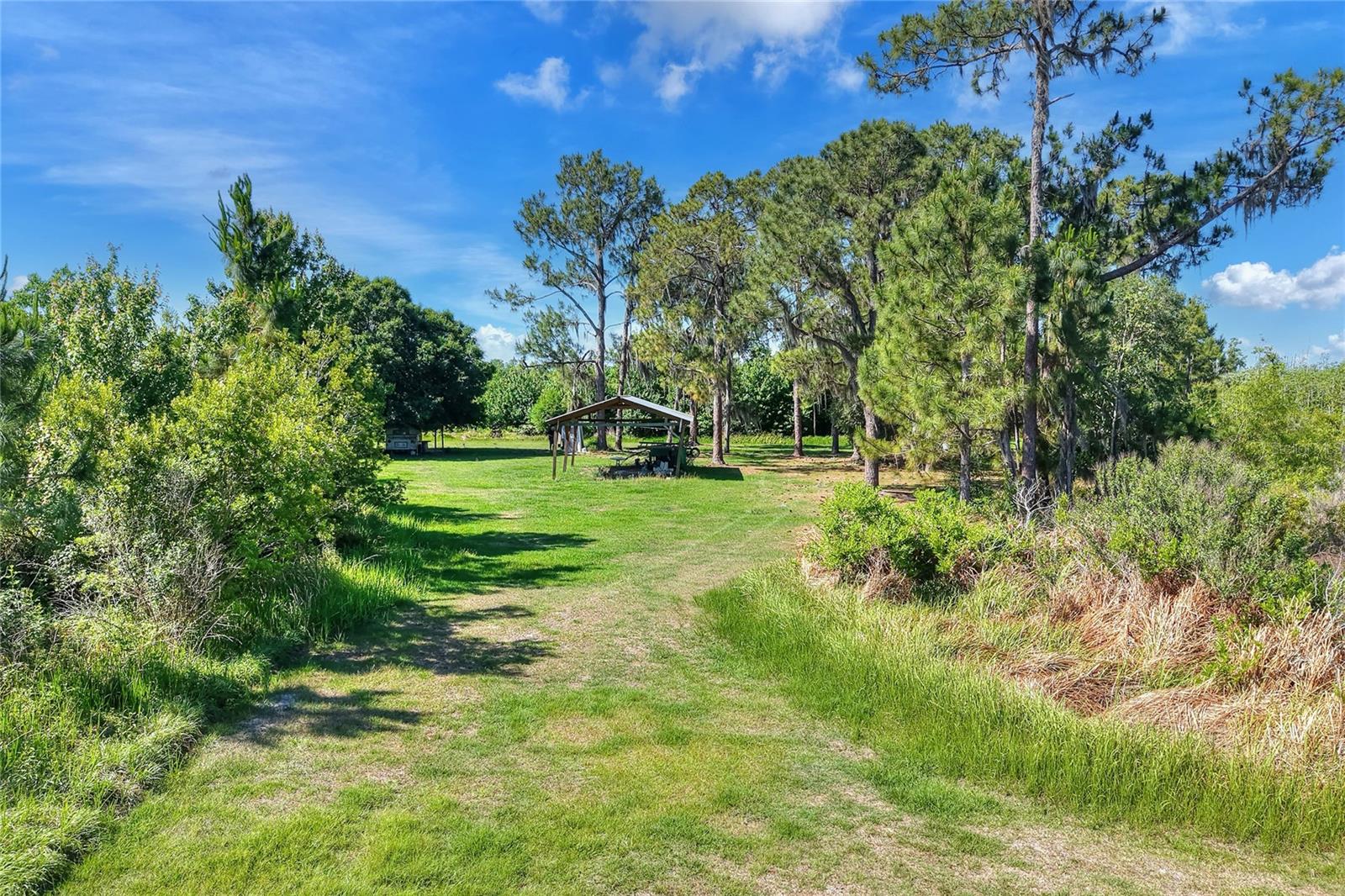 Image 7 of 11 For 0 Lake Buffum Road W