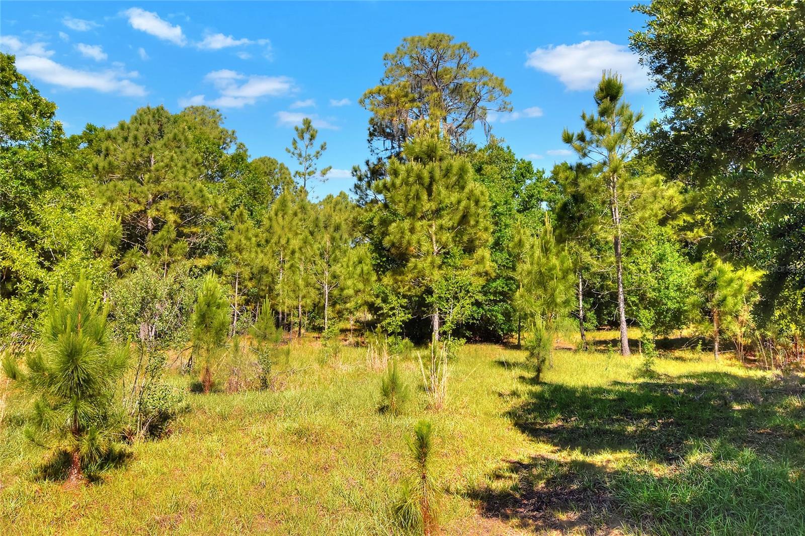 Image 8 of 11 For 0 Lake Buffum Road W