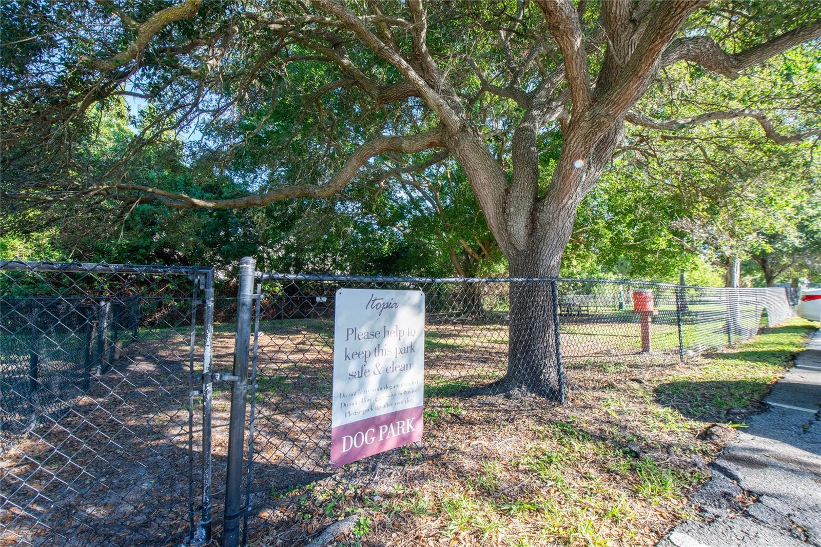 Image 37 of 43 For 10263 Gandy Boulevard N 2202