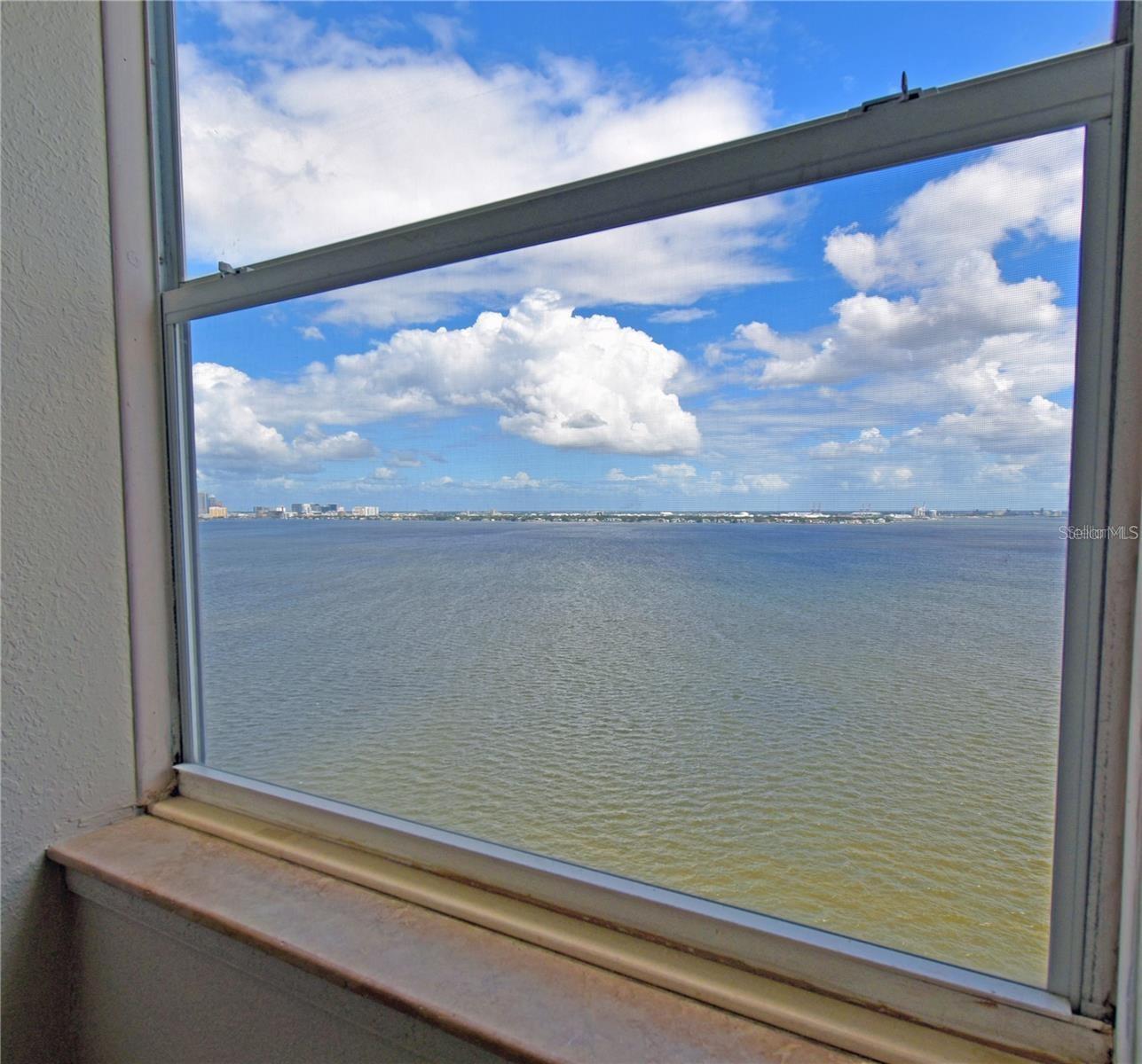 Image 27 of 32 For 4015 Bayshore Boulevard 17f