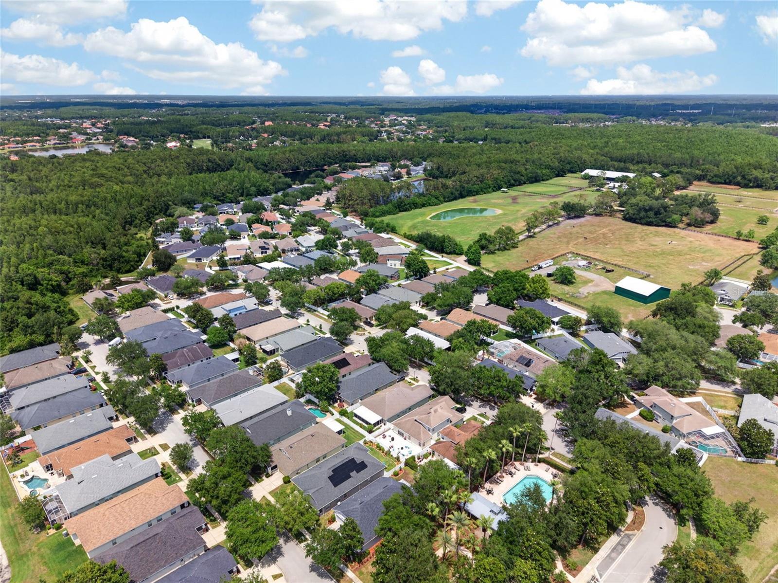 Listing photo id 84 for 5017 Torrey Hills Lane