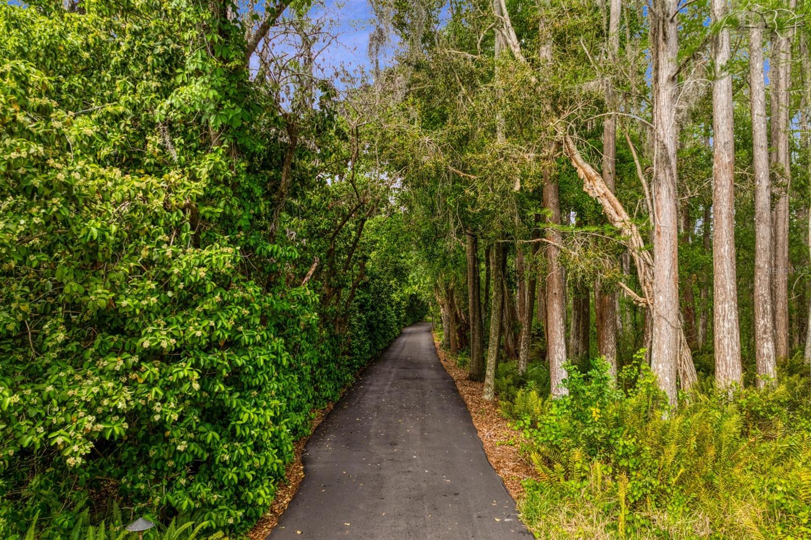Listing photo id 90 for 8817 Roberts Road