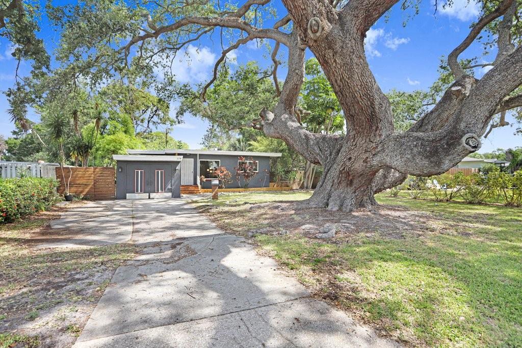 Details for 779 Bayou Blvd S, ST PETERSBURG, FL 33705