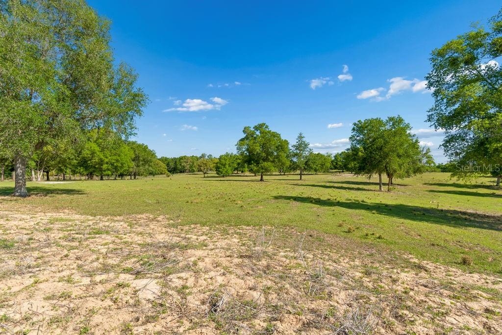 Image 10 of 44 For 31501 Reed Road