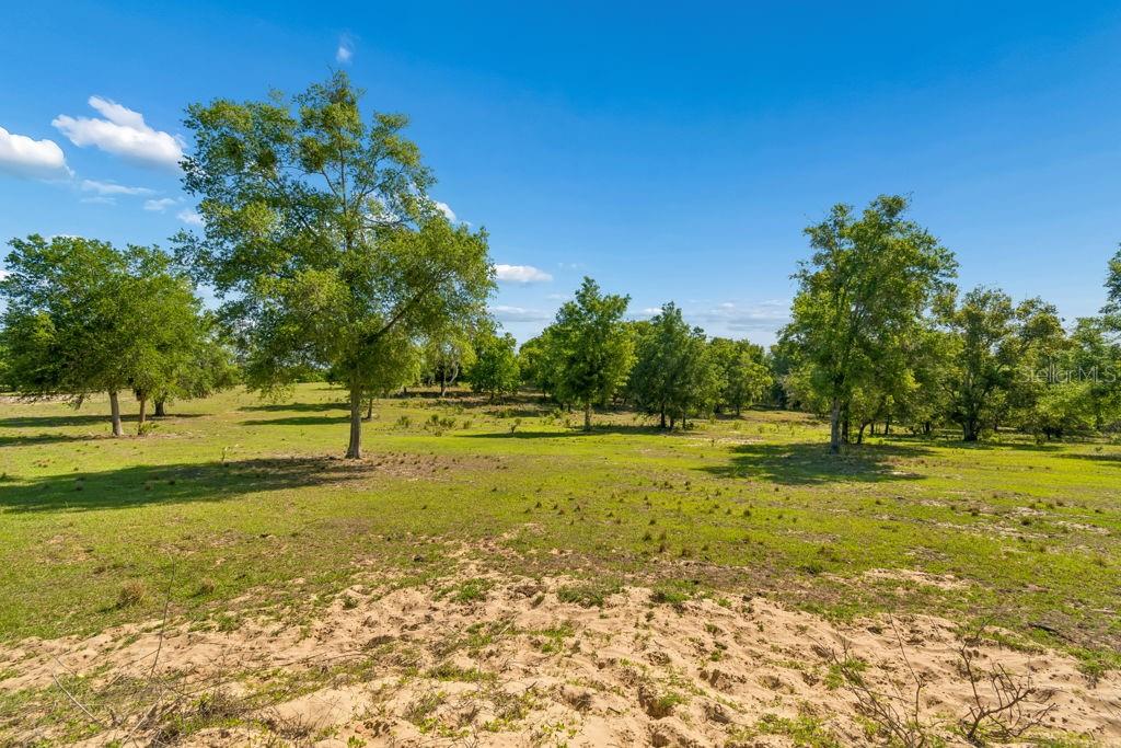 Image 11 of 44 For 31501 Reed Road