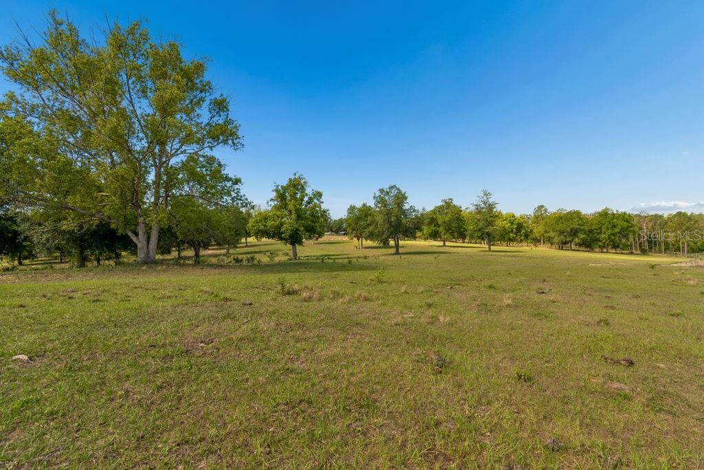 Image 12 of 44 For 31501 Reed Road