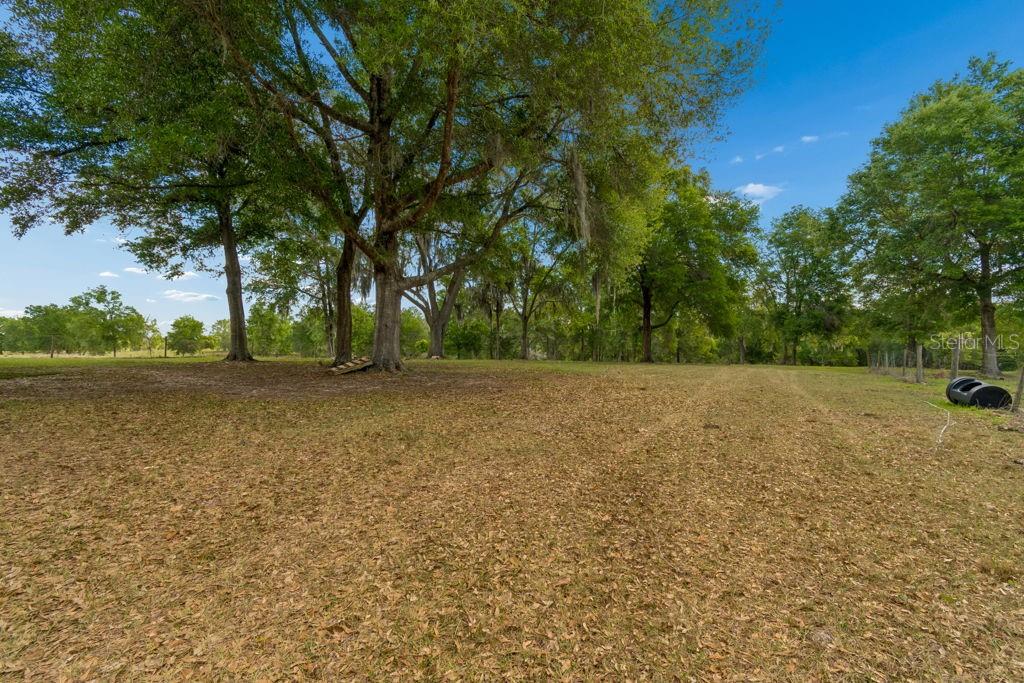 Image 13 of 44 For 31501 Reed Road