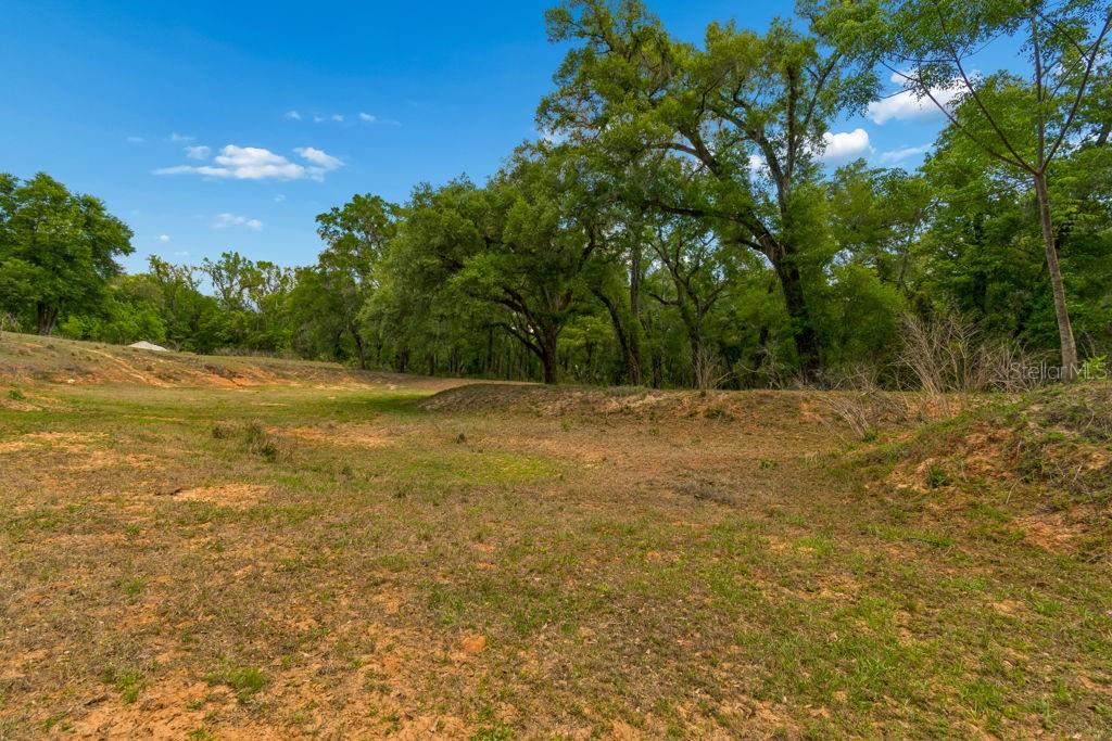 Image 14 of 44 For 31501 Reed Road