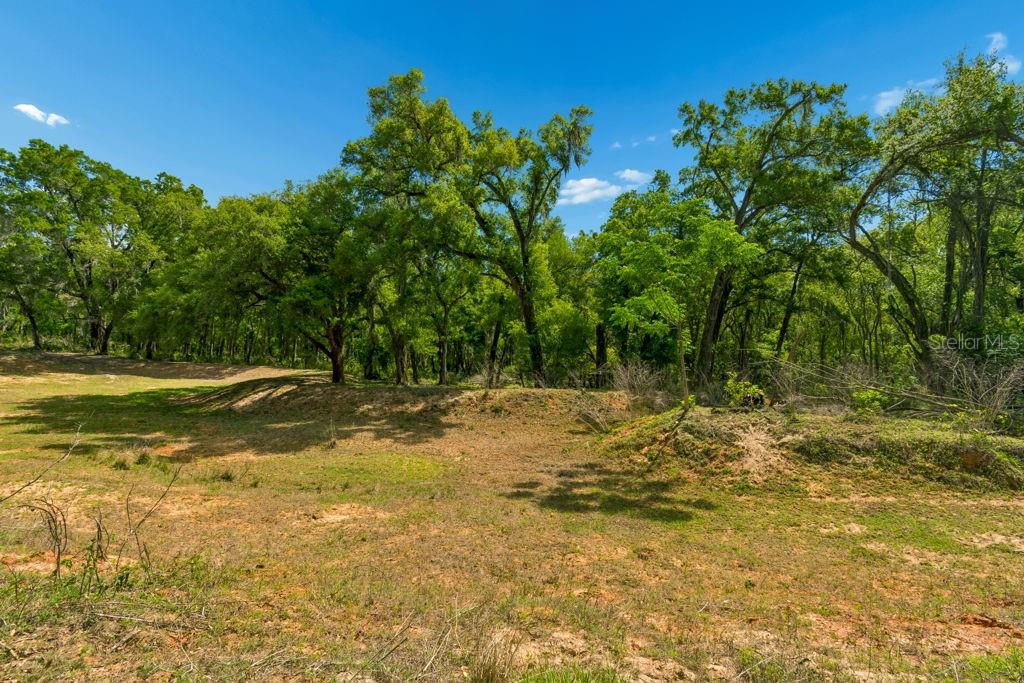 Image 16 of 44 For 31501 Reed Road