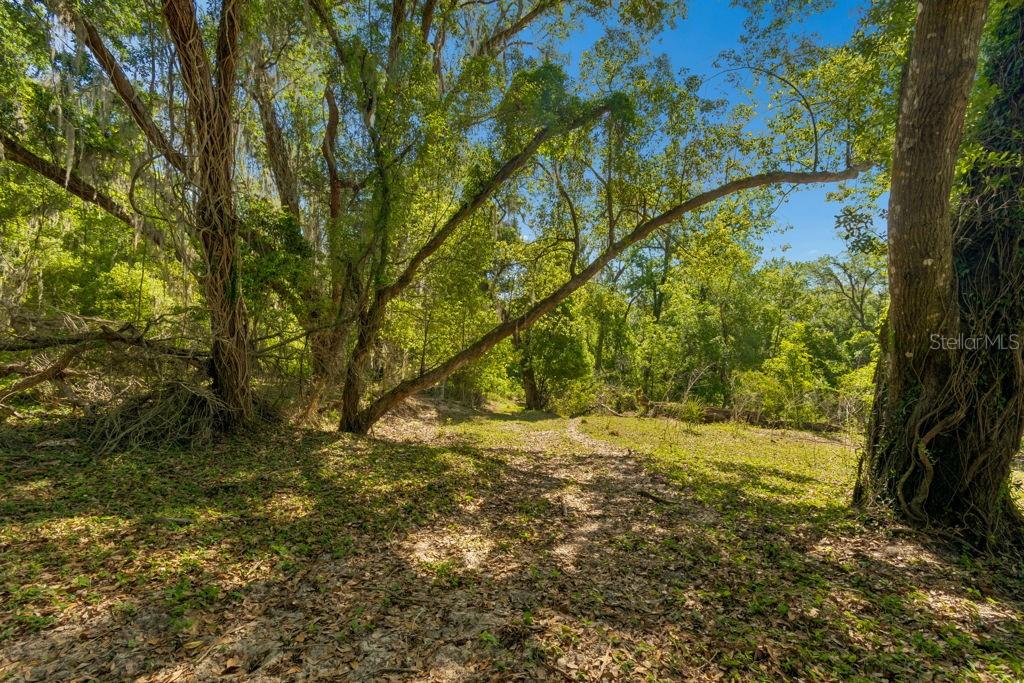 Image 17 of 44 For 31501 Reed Road