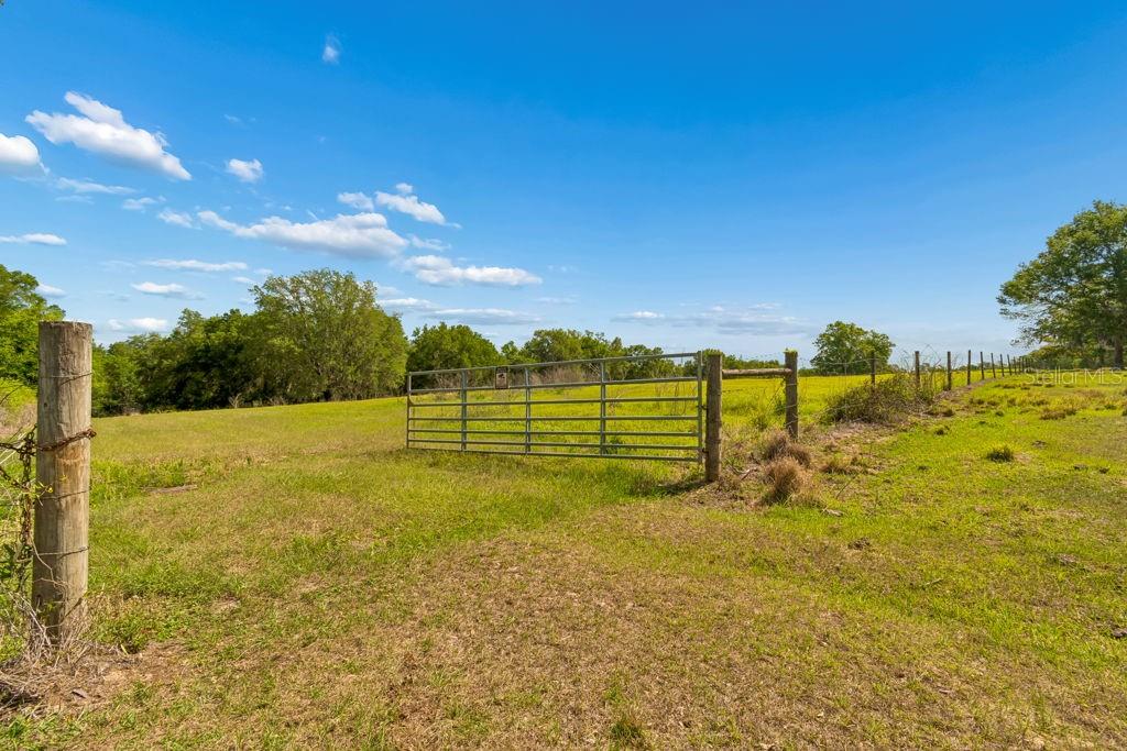 Image 31 of 44 For 31501 Reed Road