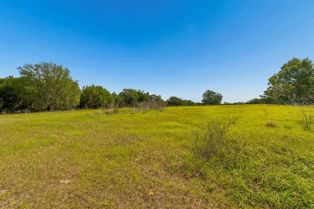 Image 32 of 44 For 31501 Reed Road