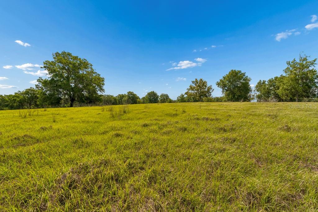 Image 33 of 44 For 31501 Reed Road