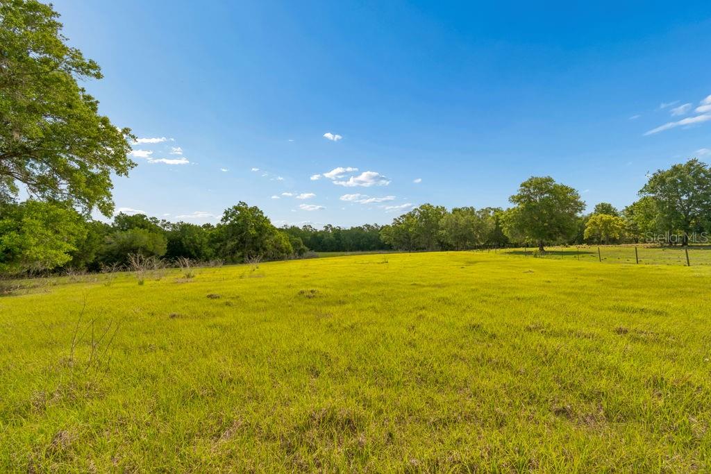 Image 34 of 44 For 31501 Reed Road