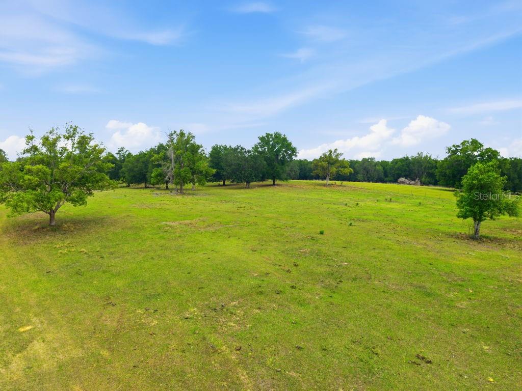 Image 41 of 44 For 31501 Reed Road