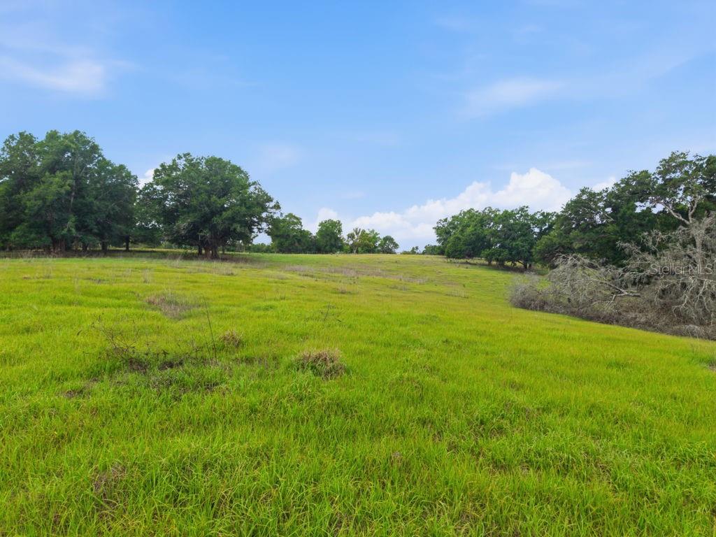 Image 44 of 44 For 31501 Reed Road