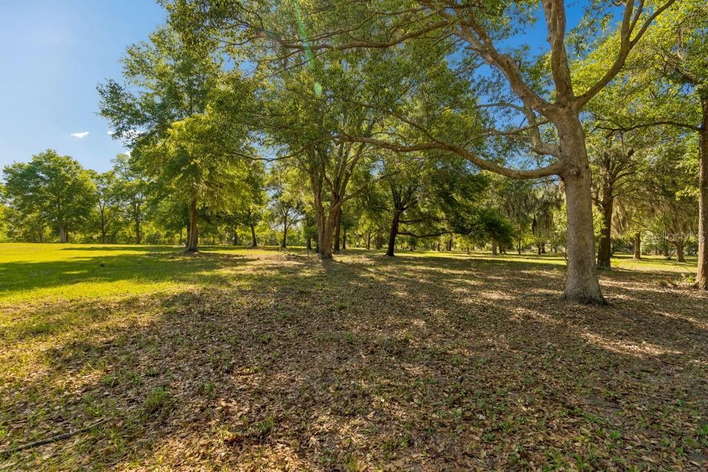 Image 5 of 44 For 31501 Reed Road