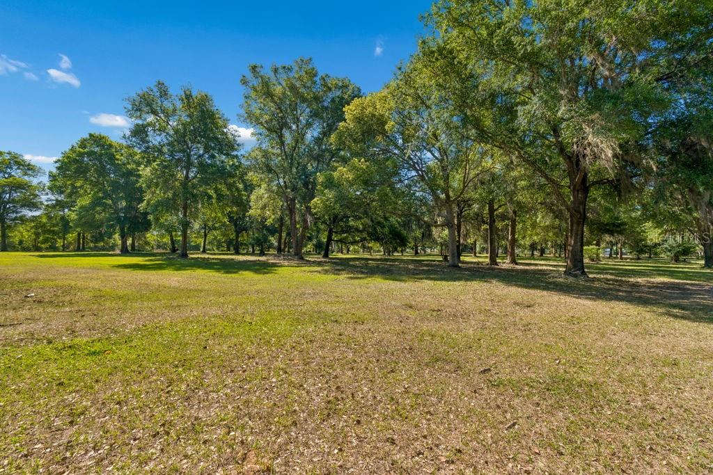 Image 6 of 44 For 31501 Reed Road