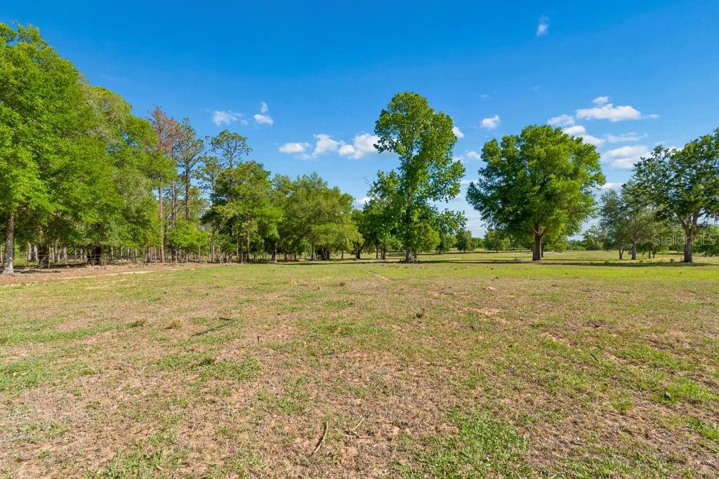 Image 8 of 44 For 31501 Reed Road
