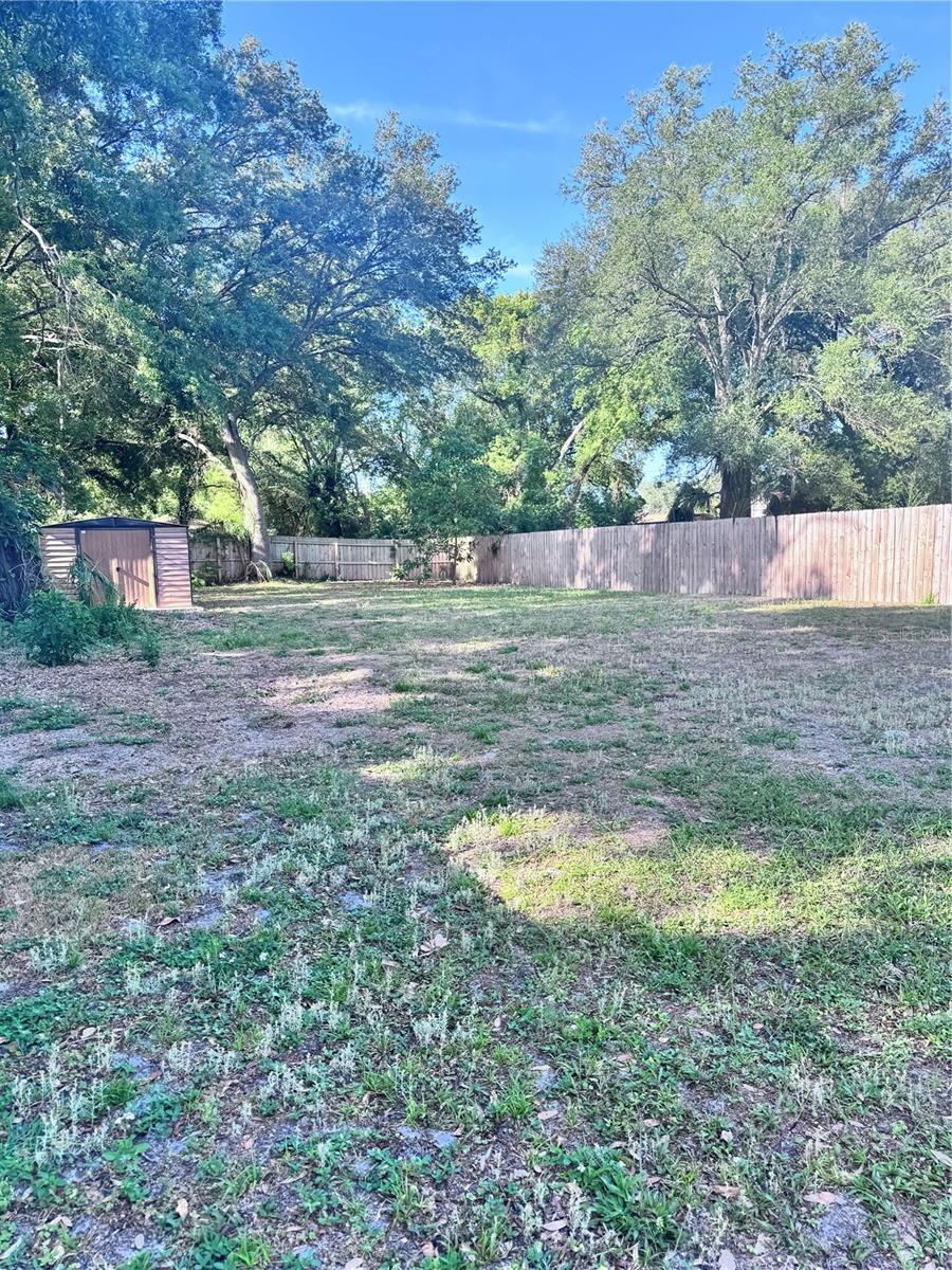 Image 11 of 11 For 406 Alva Street