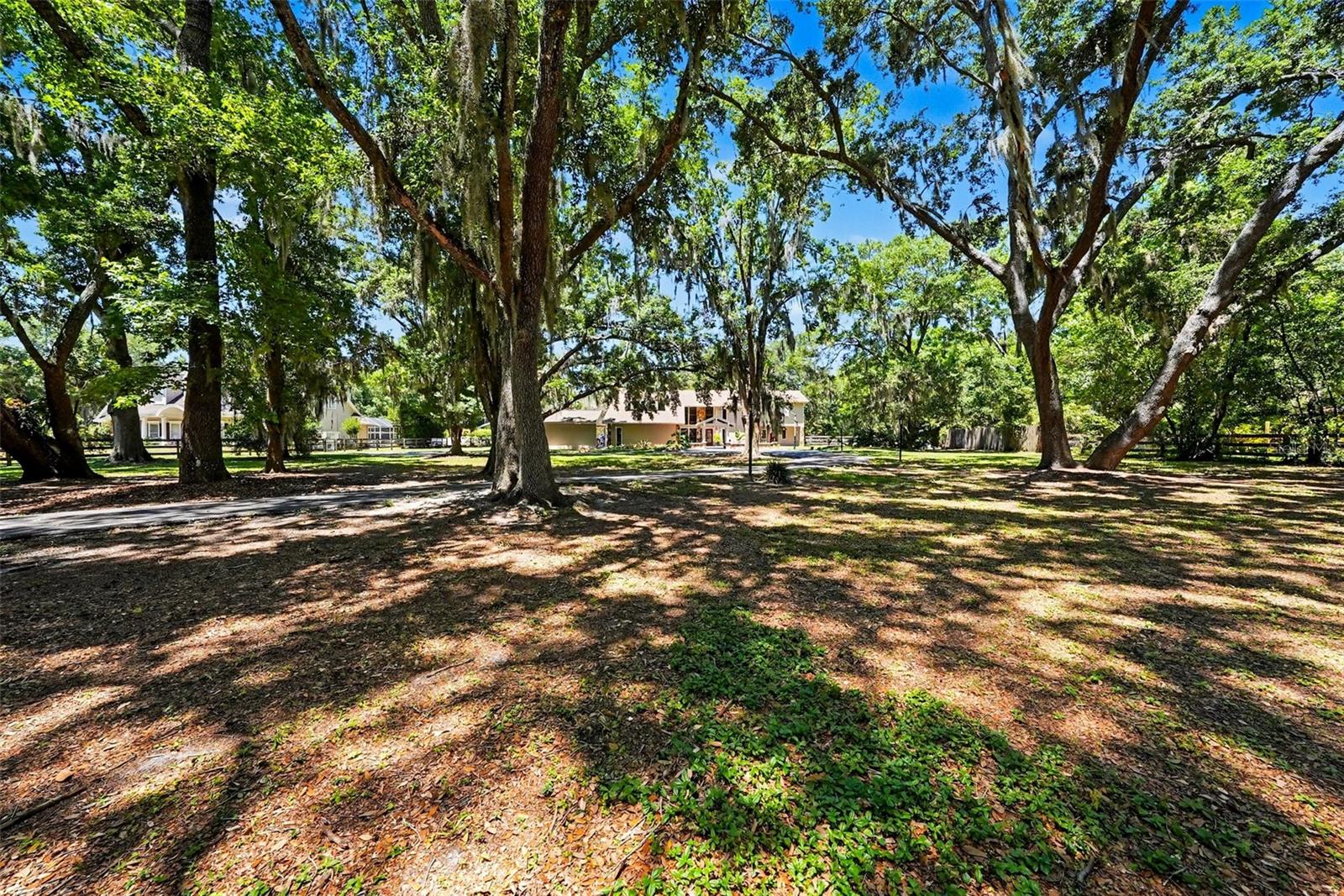 Image 8 of 54 For 16502 Offenhaur Road