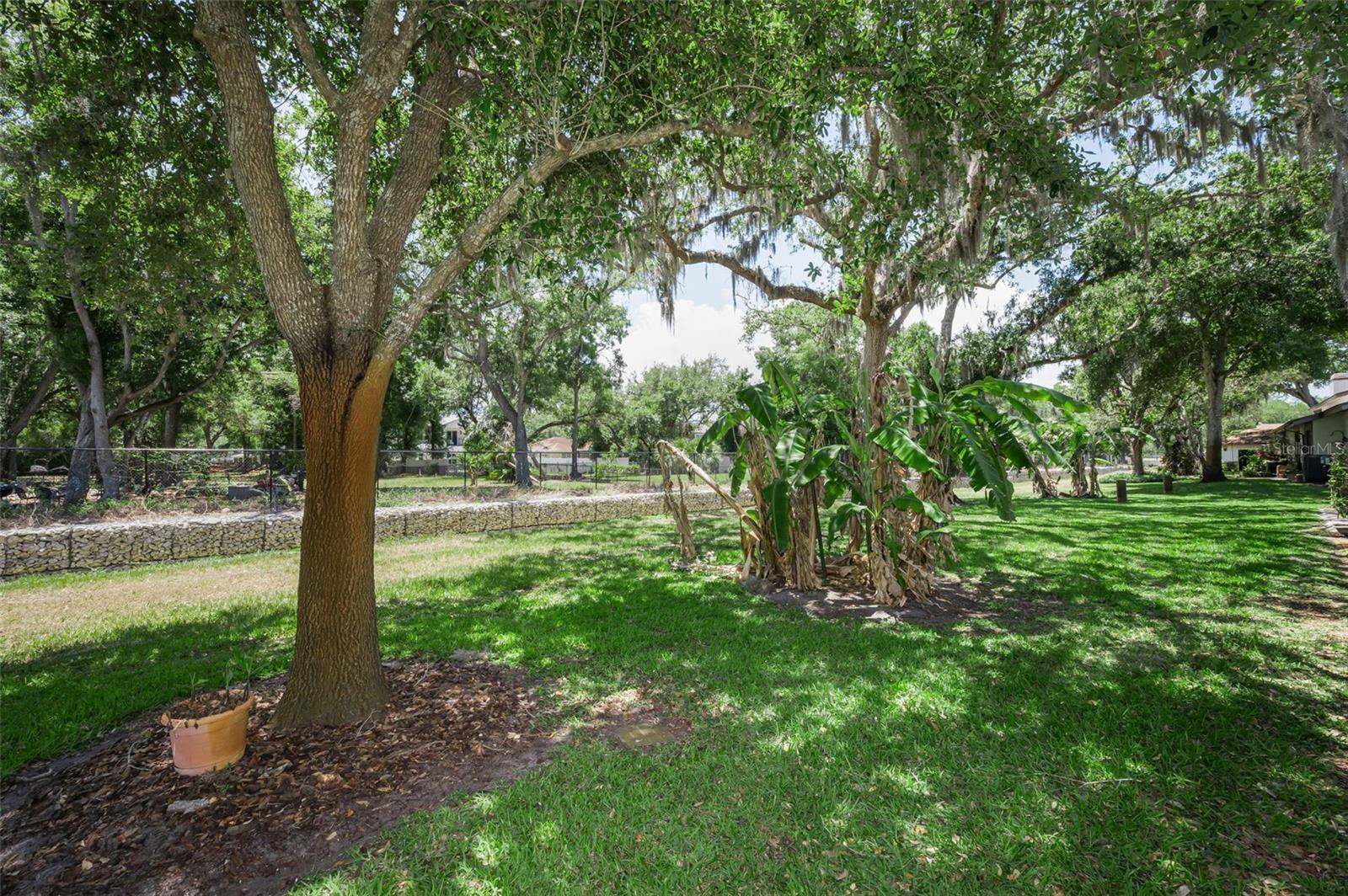 Image 52 of 68 For 1720 Cypress Trace Drive