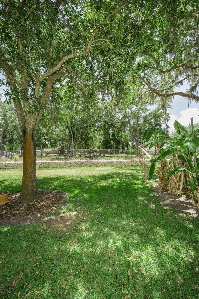 Image 53 of 68 For 1720 Cypress Trace Drive