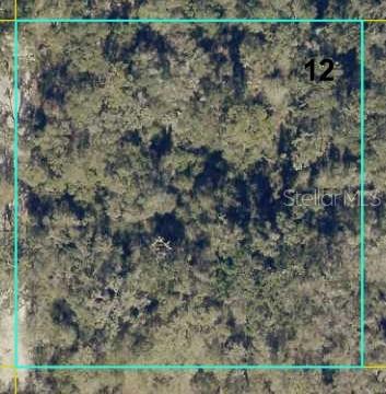 Details for 12146 41st Way, WEBSTER, FL 33597