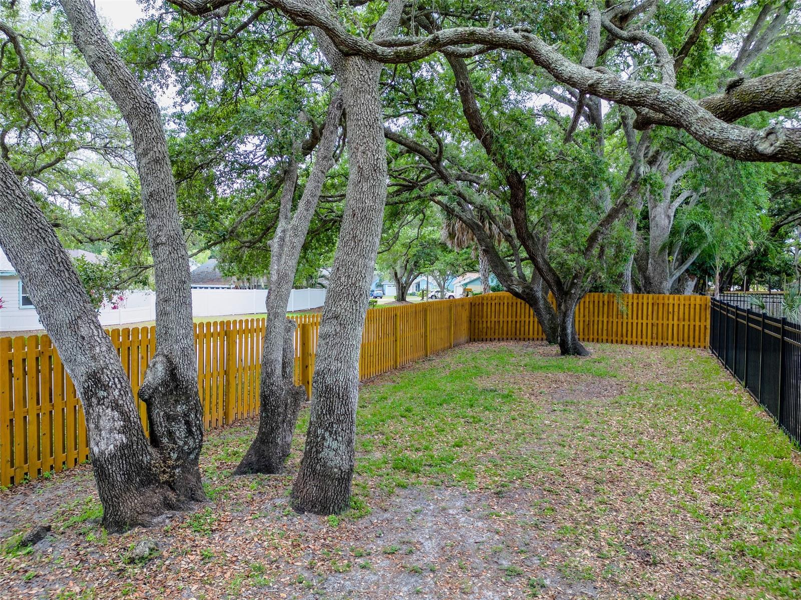 Image 43 of 45 For 890 Jackson Court