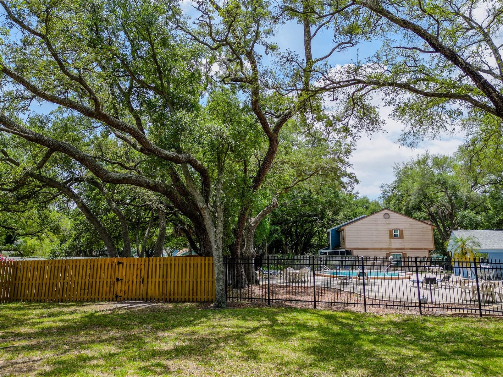 Image 44 of 45 For 890 Jackson Court
