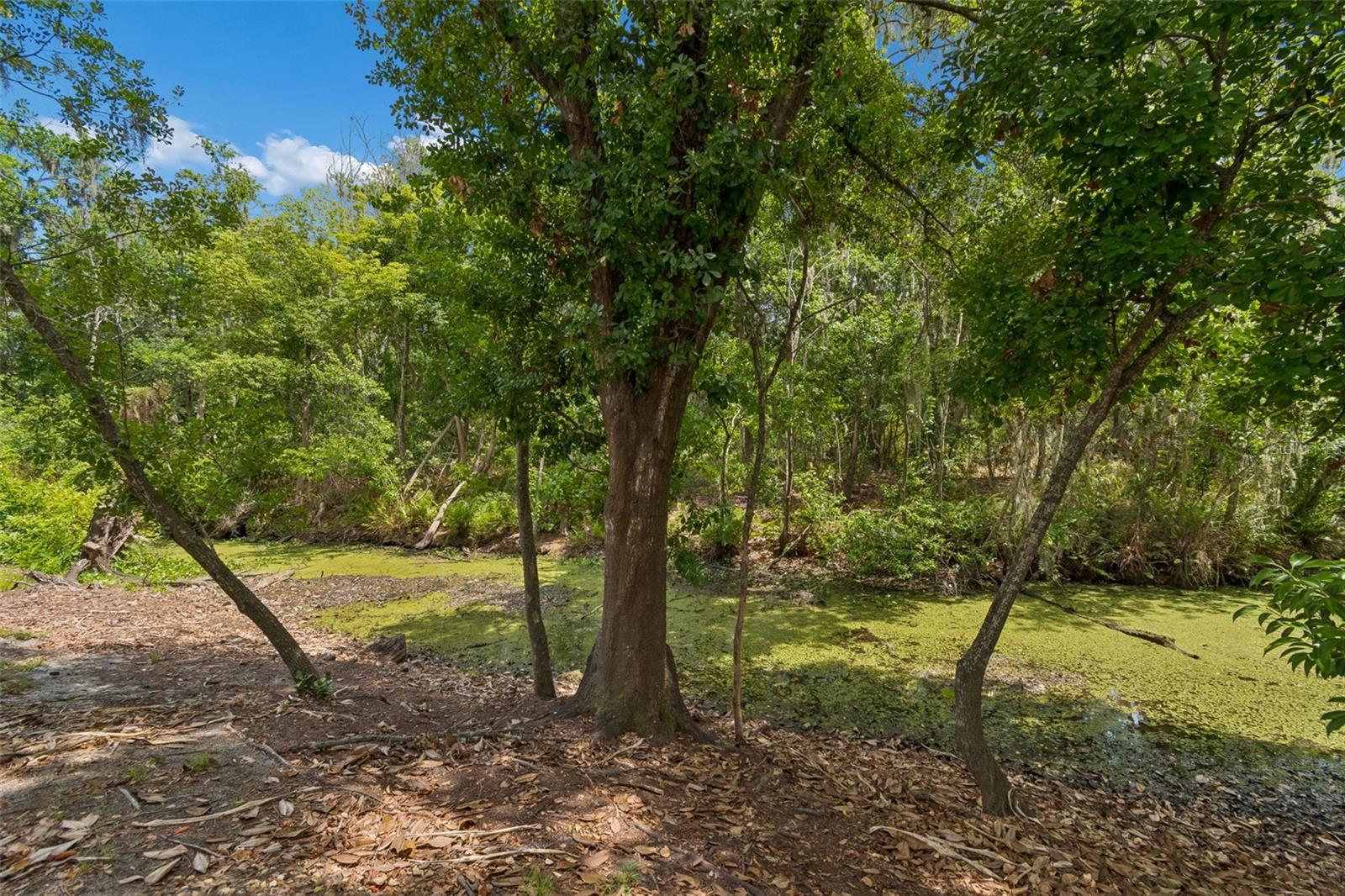 Image 49 of 61 For 1005 Highgrove Court