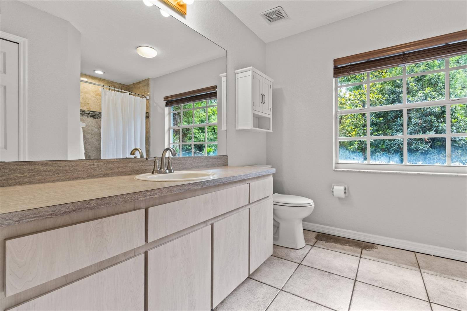 Image 15 of 53 For 315 Garfield Avenue