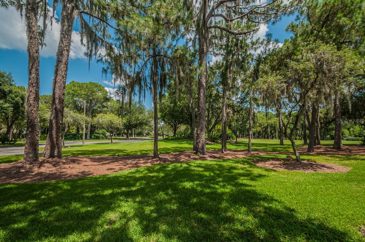 Image 64 of 80 For 2993 Northfield Drive