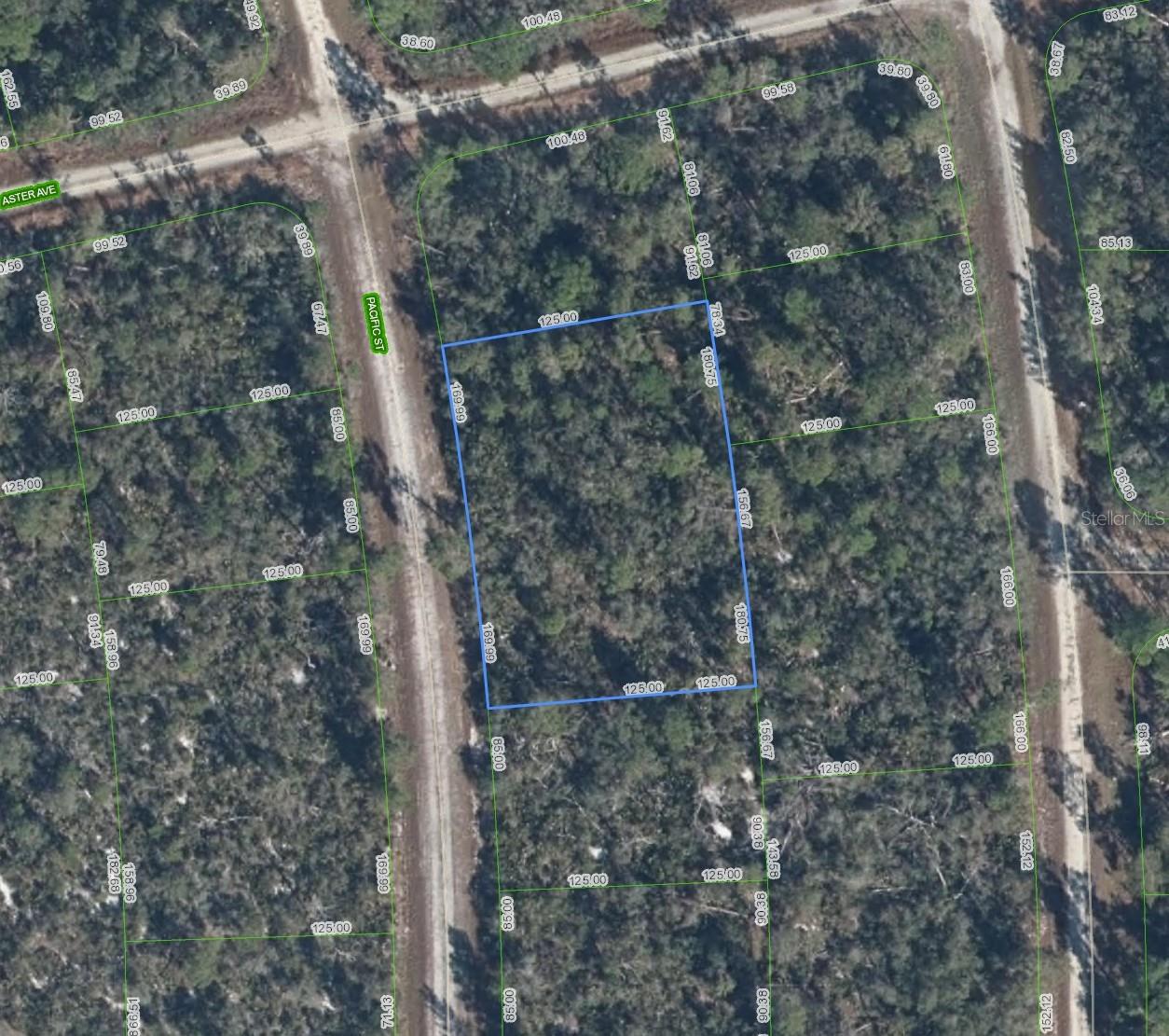 Image 2 of 3 For 719 Pacific Street