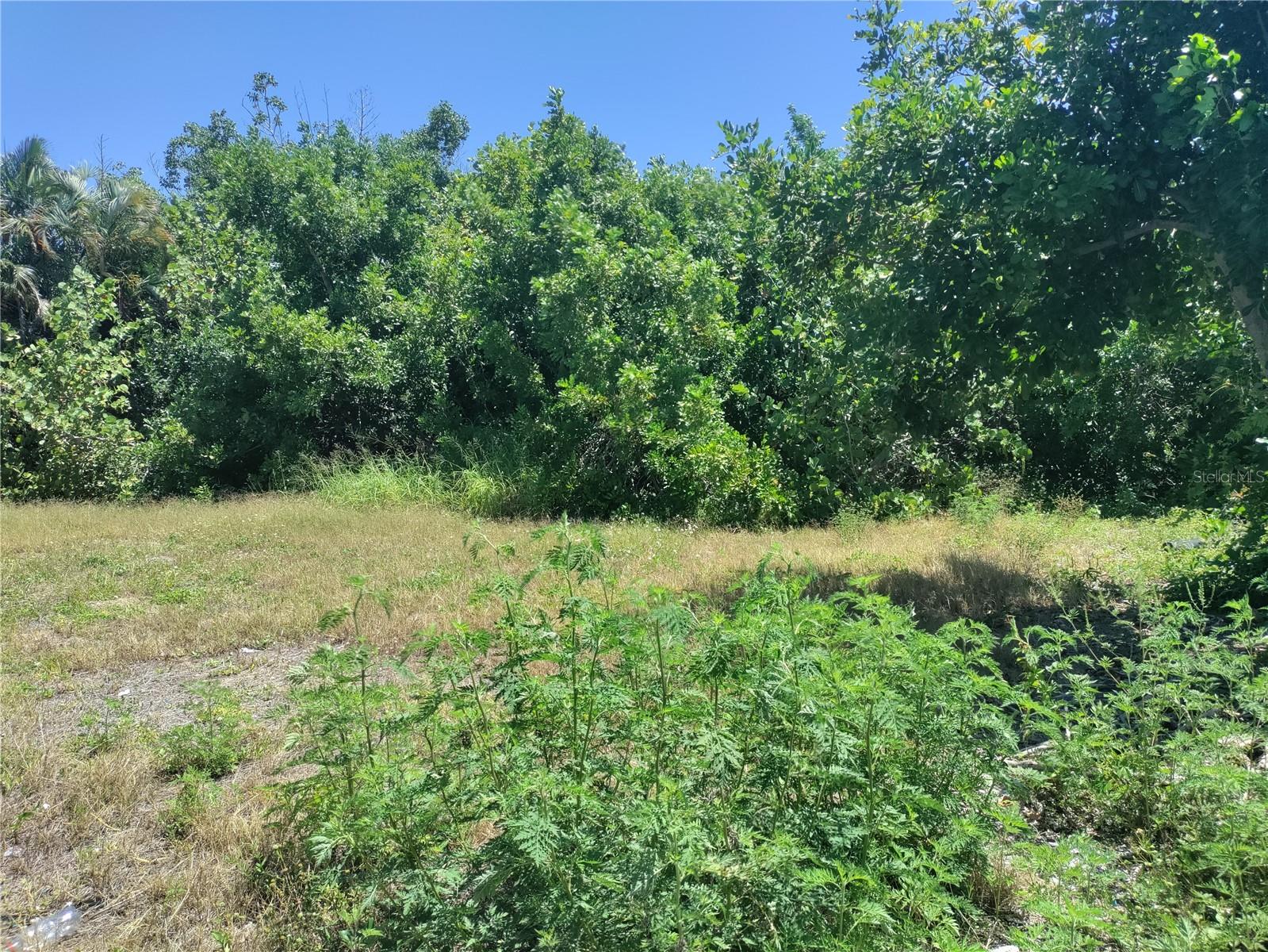 Image 6 of 10 For 4134 Gardner Drive
