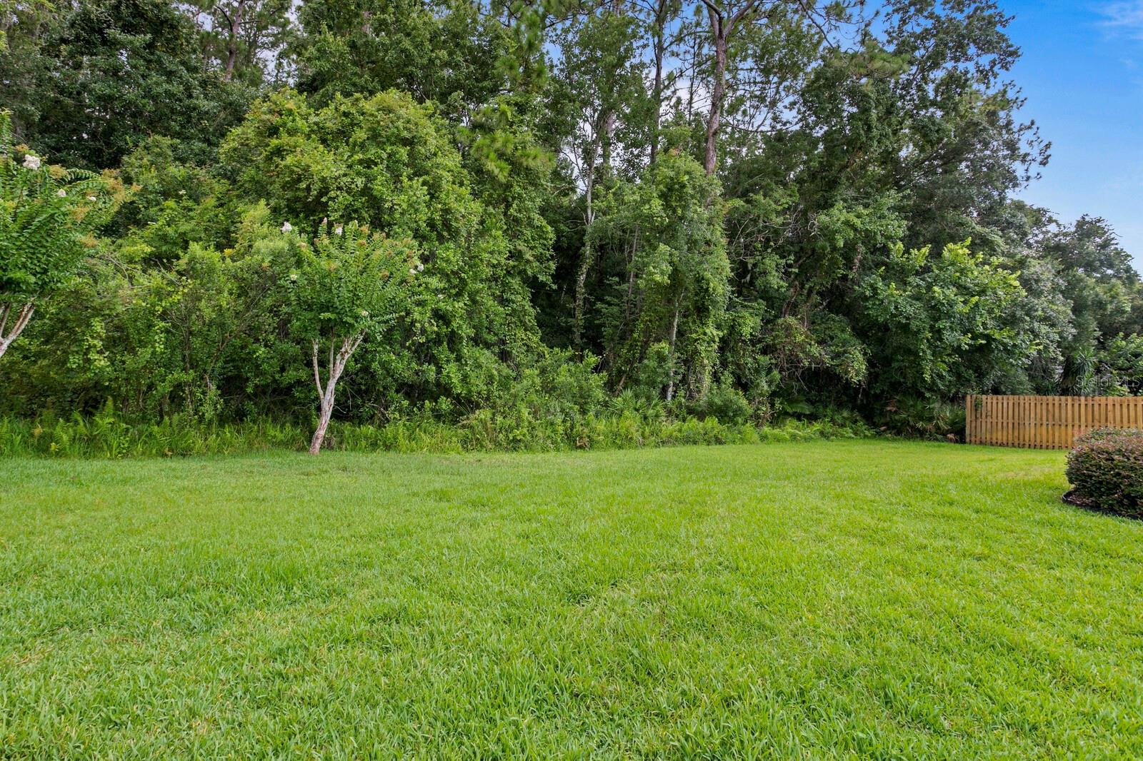 Image 42 of 42 For 14511 Corkwood Drive