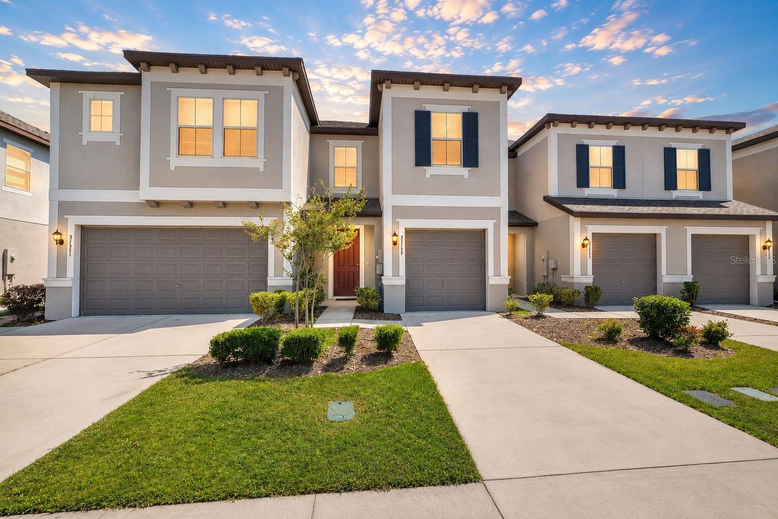 Details for 31555 Blue Passing Loop, WESLEY CHAPEL, FL 33545