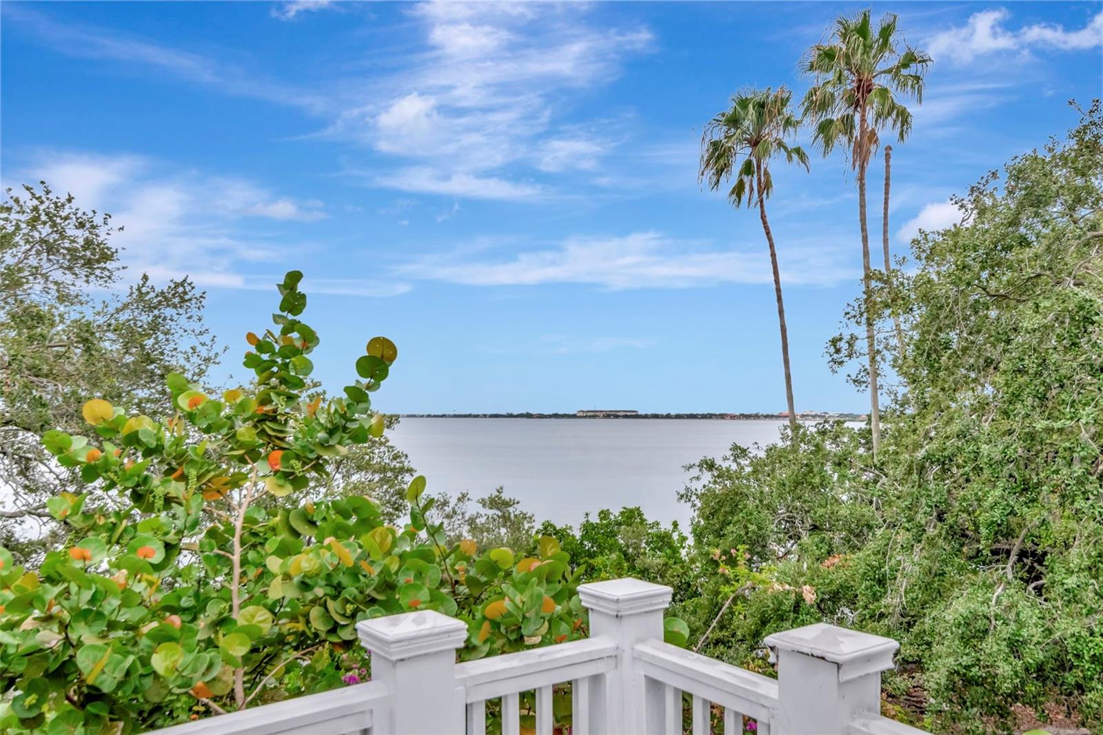 Image 39 of 60 For 6220 Bayshore Boulevard
