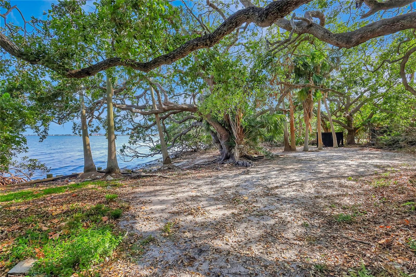Image 53 of 60 For 6220 Bayshore Boulevard
