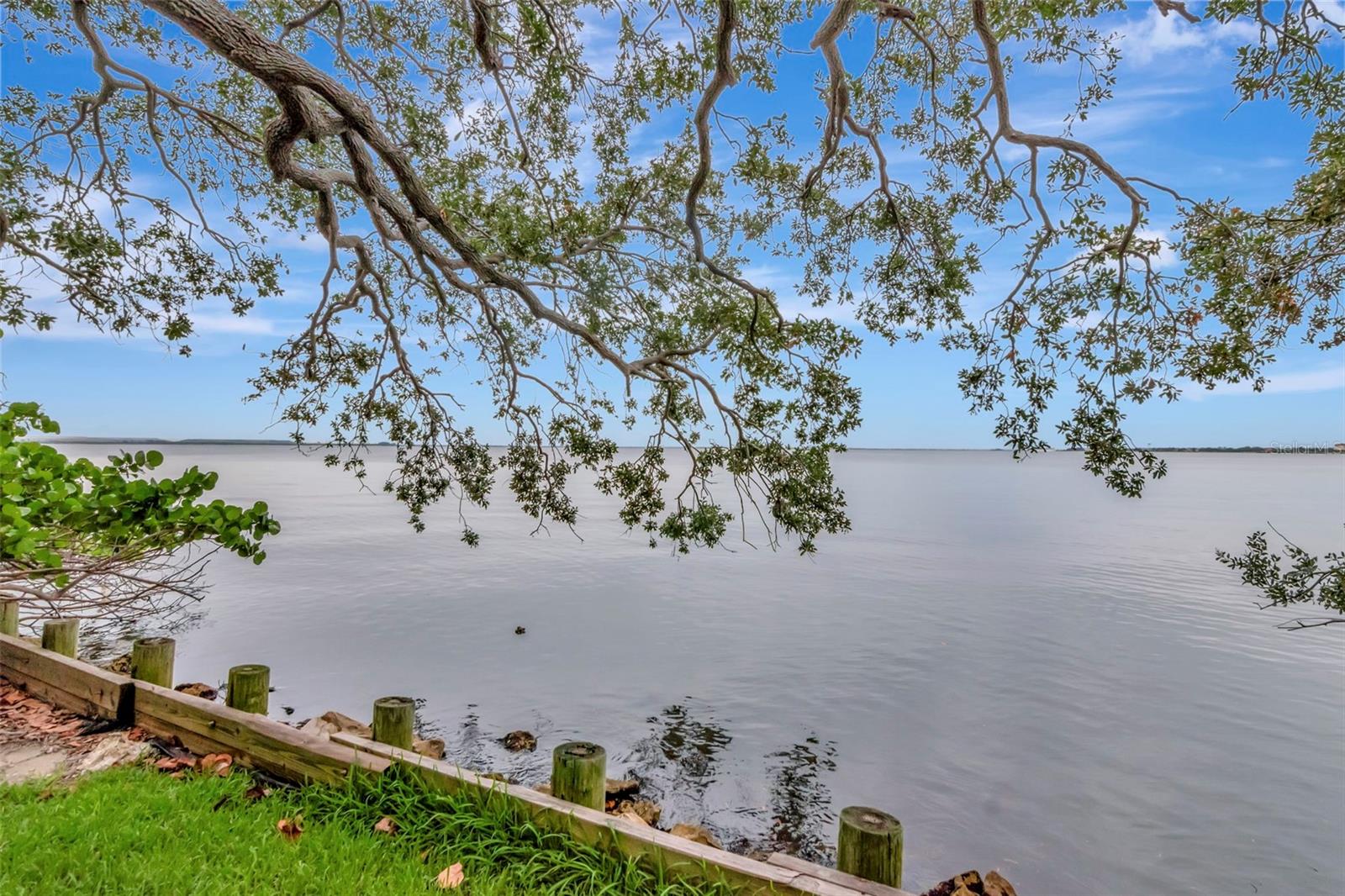 Image 55 of 60 For 6220 Bayshore Boulevard