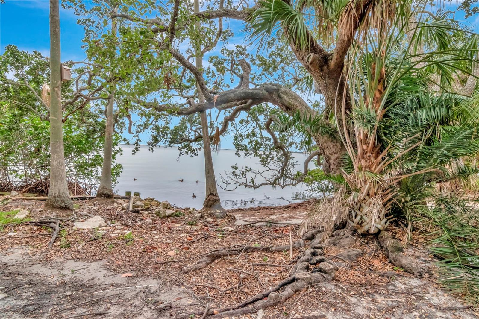Image 57 of 60 For 6220 Bayshore Boulevard