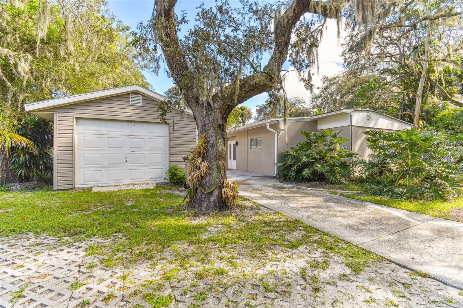 Listing photo id 4 for 414 Joyce Avenue
