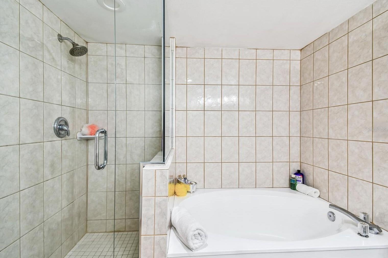 Image 19 of 32 For 1310 Gulf Boulevard 6d