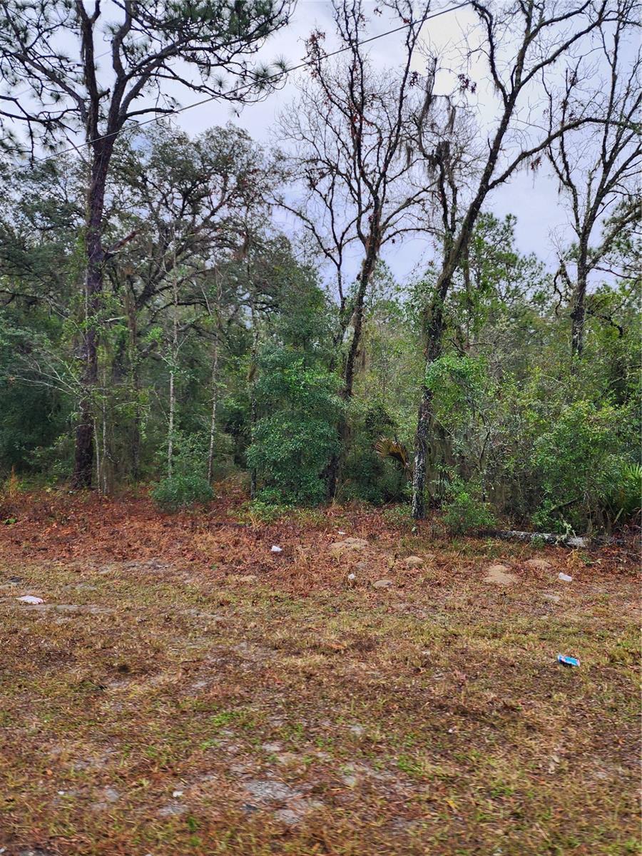 Image 2 of 6 For 7360 Dunnellon Road